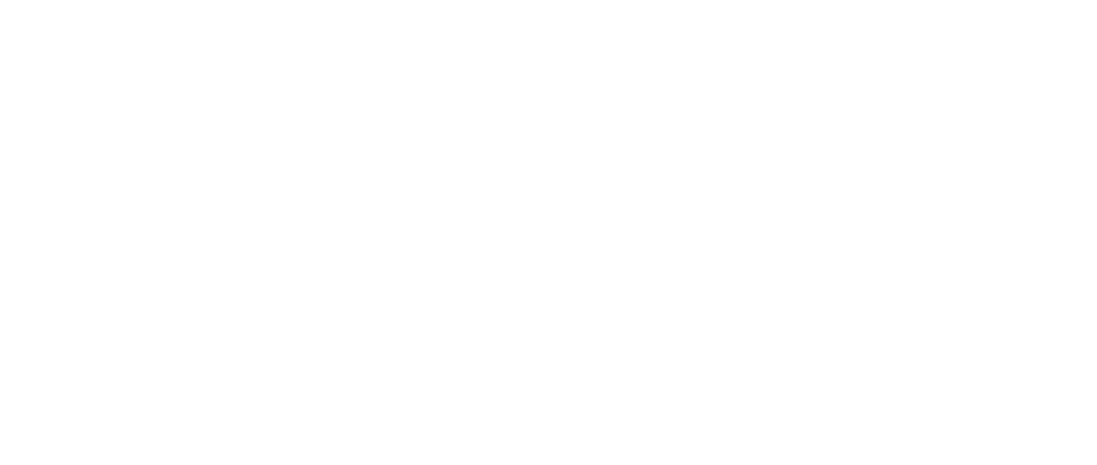 Elan Store